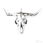 Kép 1/2 - Ezüst medál Texas Longhorn bikakoponya
